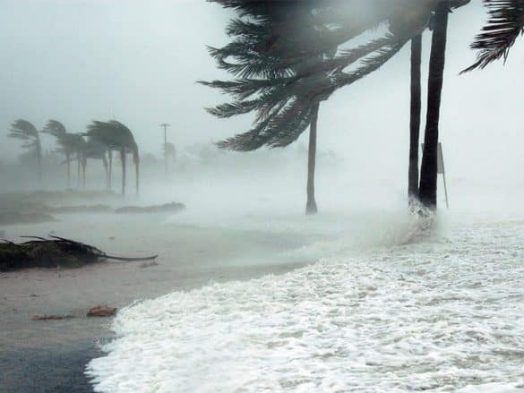 Comment naît et évolue un cyclone ?