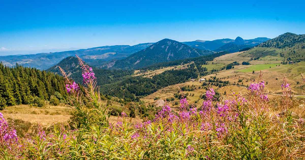 La Zone Volcanique Du Velay En Savoir Plus Avec Vulcania