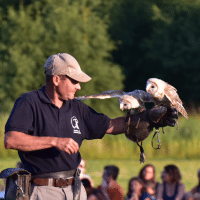 Rapaces en vol libre