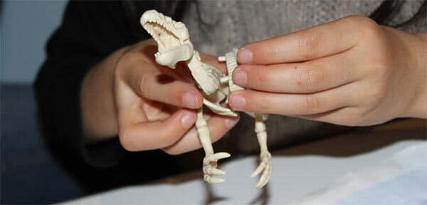 Dinosaures et compagnie