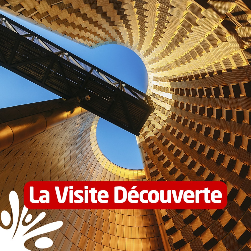 La visite découverte : photo du cône de Vulcania